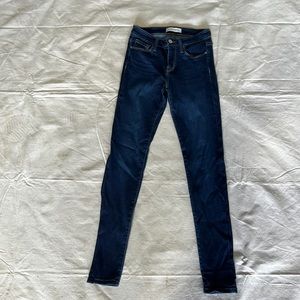 Flying Monkey Skinny Jeans